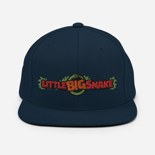LBS logo snapback hat